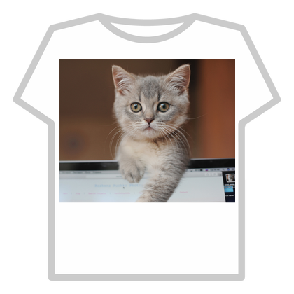 kitten thumbnail