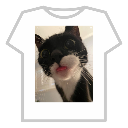 Cute cat thumbnail