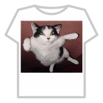 FlyingCat[1]